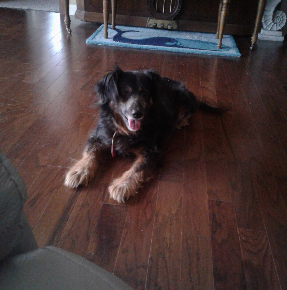 Meet your Posher, Kane